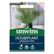 Unwins Houseplant Asparagus Fern